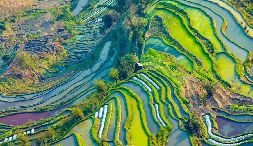走进滴道区TVC拍摄：解锁本地化场景与创意镜头的完美融合